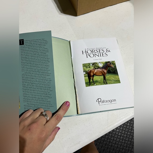 HORSE BOOK - Picture 2 of 4